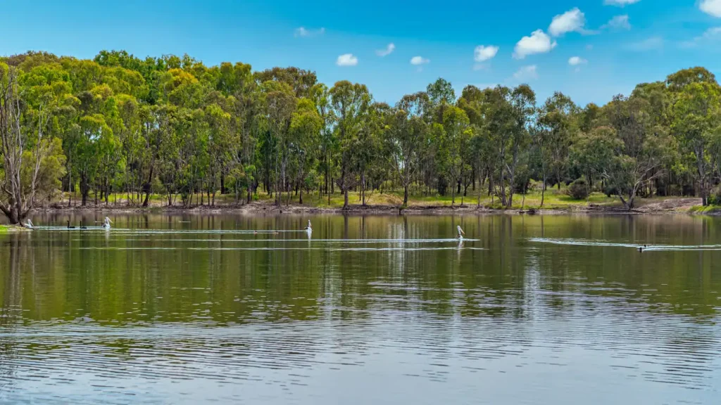 Washing machine repairs in Joondalup